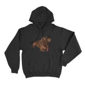 The Stevie Unisex Hoodie Black