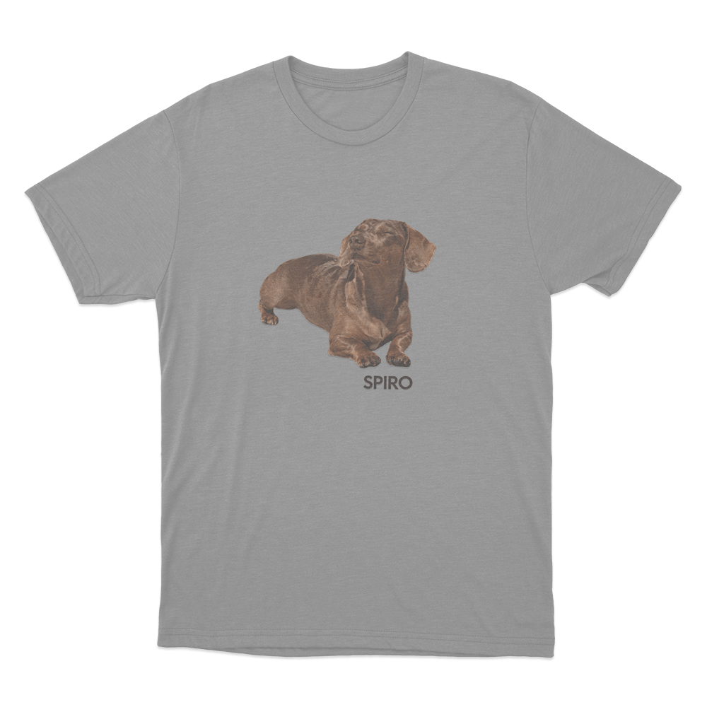 The Stevie Unisex T Shirt Grey The Stevie Unisex T Shirt Grey