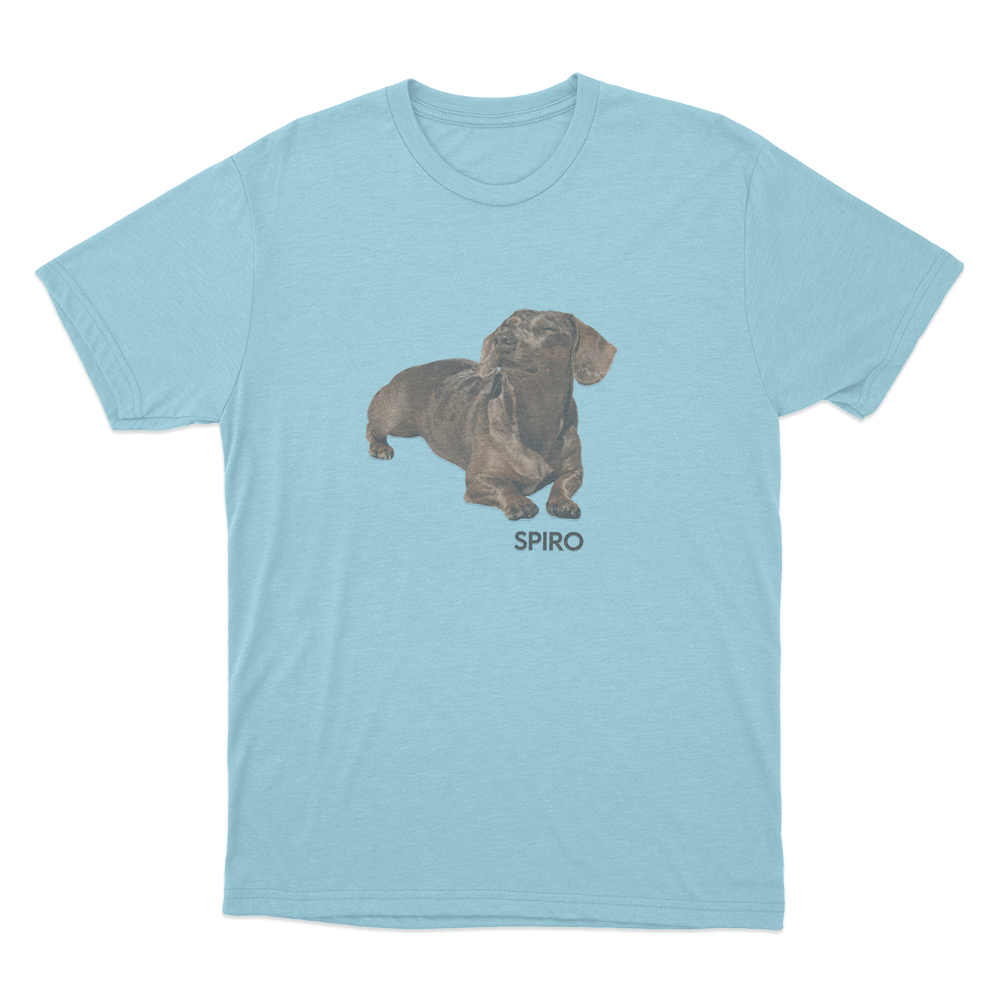 The Stevie Unisex T Shirt Sky Blue The Stevie Unisex T Shirt Sky Blue